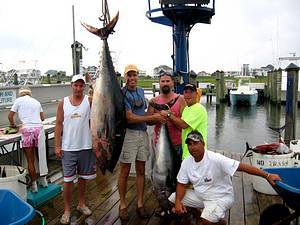 Jade Ii Sportfishing: Shark Charters