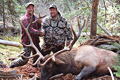 Juniper Mountain Outfitters: Elk Hunts