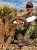 Kiowa Hunting Services: Barbary Sheep Hunts