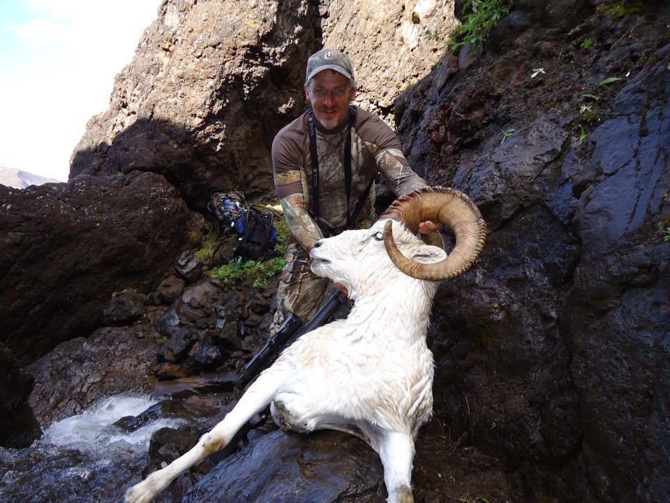 Kitchel's Alaska Guide Service: Dall Sheep Hunt (Talkeetna Mts.)
