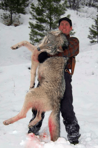 Korell Outfitters: Wolf Hunts