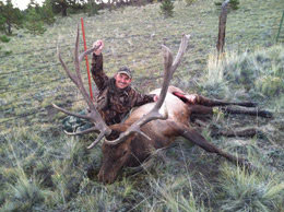 Loco Mountain Outfitters: Archery Elk Hunt