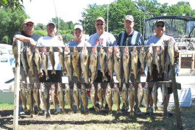 Lucky Strike Sportfishing: Smallmouth Bass Charters