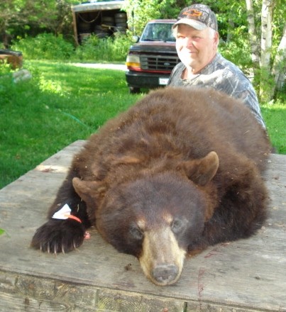 Macfarlane Sporting Camps: Black Bear Hunts