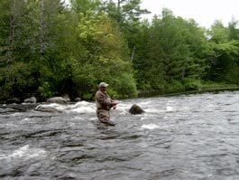 Maine Quest Adventures: Guided Fly Fishing Full Day