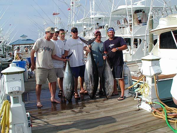 Marli: Chesapeake Bay Rockfishing