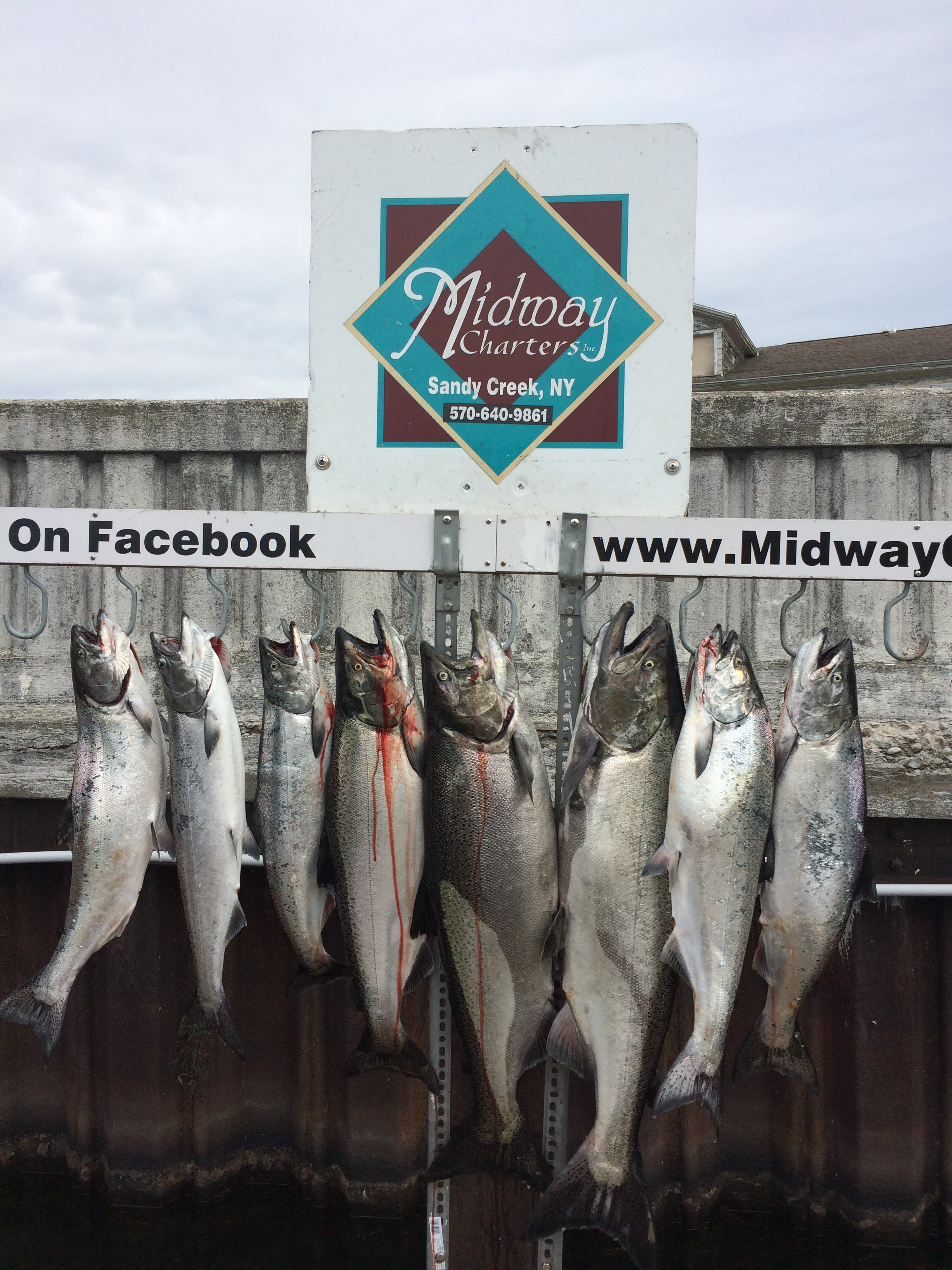 Midway Charters: 6 hour fishing trip