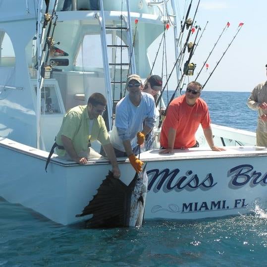 Miss Britt Charters: Fly Zone Approved Sailfish & Tarpon Combo Charter