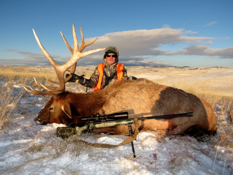 Montana Whitetails: Guided Elk & Whitetail Deer Combo Hunts