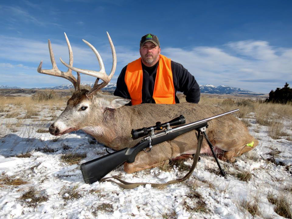 Montana Whitetails: Guided Rifle Whitetail Deer Hunts