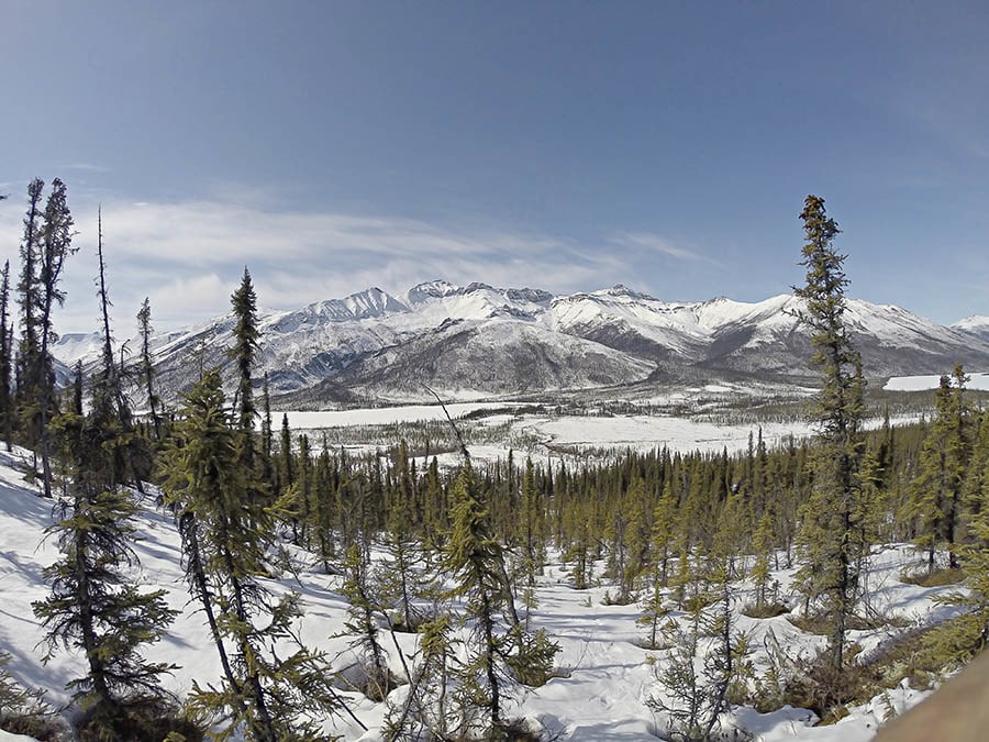 Mountain Monarchs Of Alaska: Spring Central Arctic Hunts 2017 Wolf & Wolverine Trapline Trips