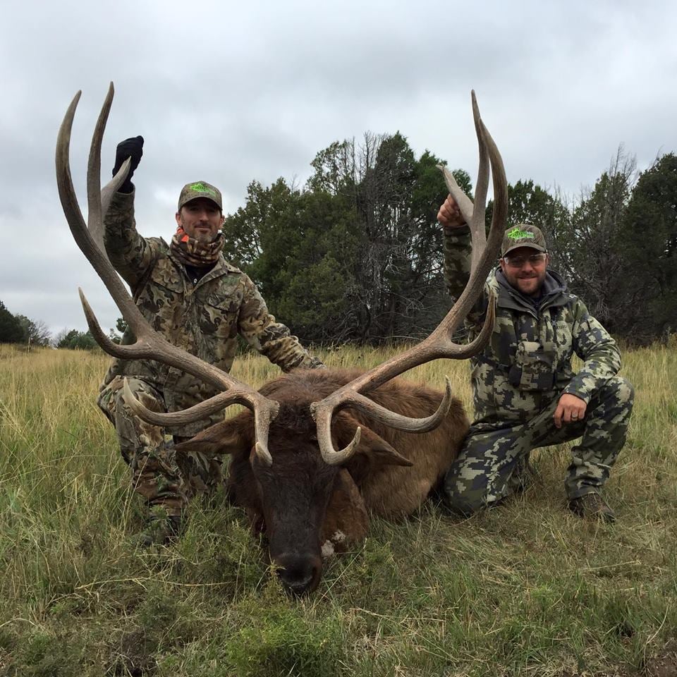New Mexico Trophy Hunt : Bull Elk Hunt