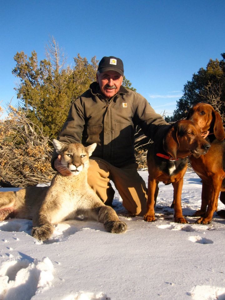New Mexico Trophy Hunt : Mountain Lion Hunt