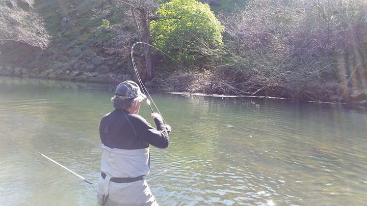 Nor Cal Fly Guides: Half Day 4hr Specialized Walk and Wade Trip