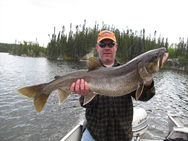 Northern Lights Lodge Ltd: FREE Canadian Fly-In Fishing Trip 