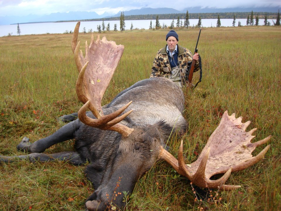 Nushagak Guides And Outfitters: Moose Hunts