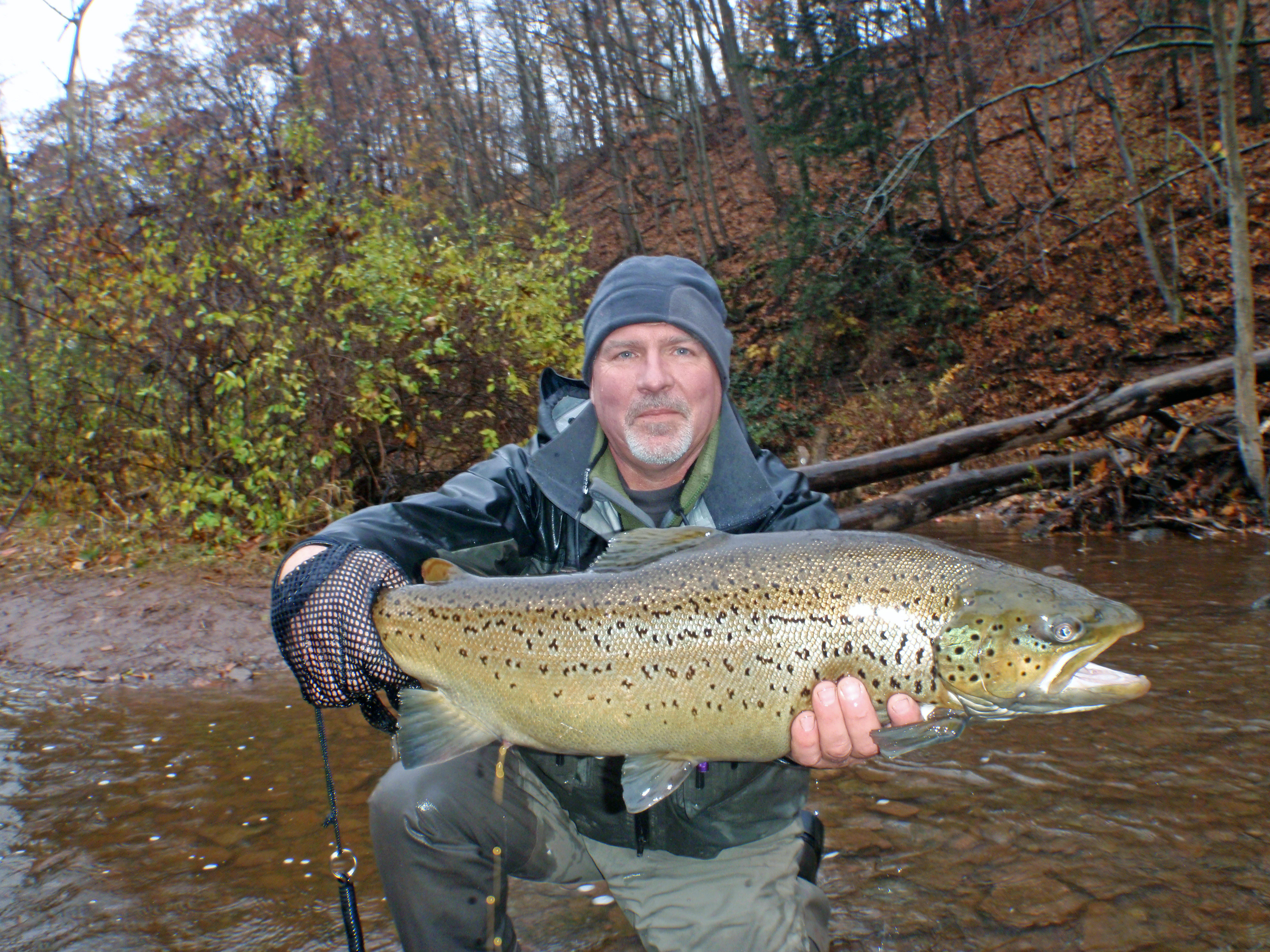 Oak Orchard River Guide Service: Brown Trout Fishing - Full Day