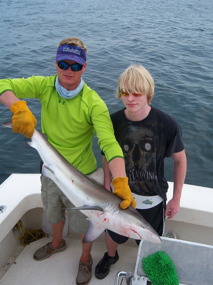 Over Board Sportfishing Charters: near coastal shark