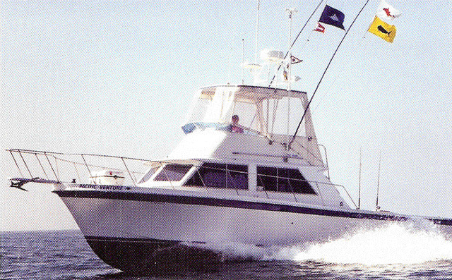 Pacific Venture Charter Service: Adventure / Whale Watching