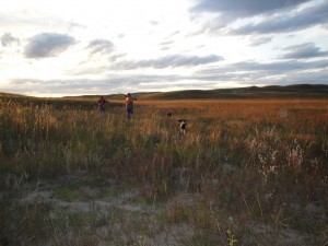 Pheasant Bonanza Hunt Club: Upland Hunt 1/2 Day