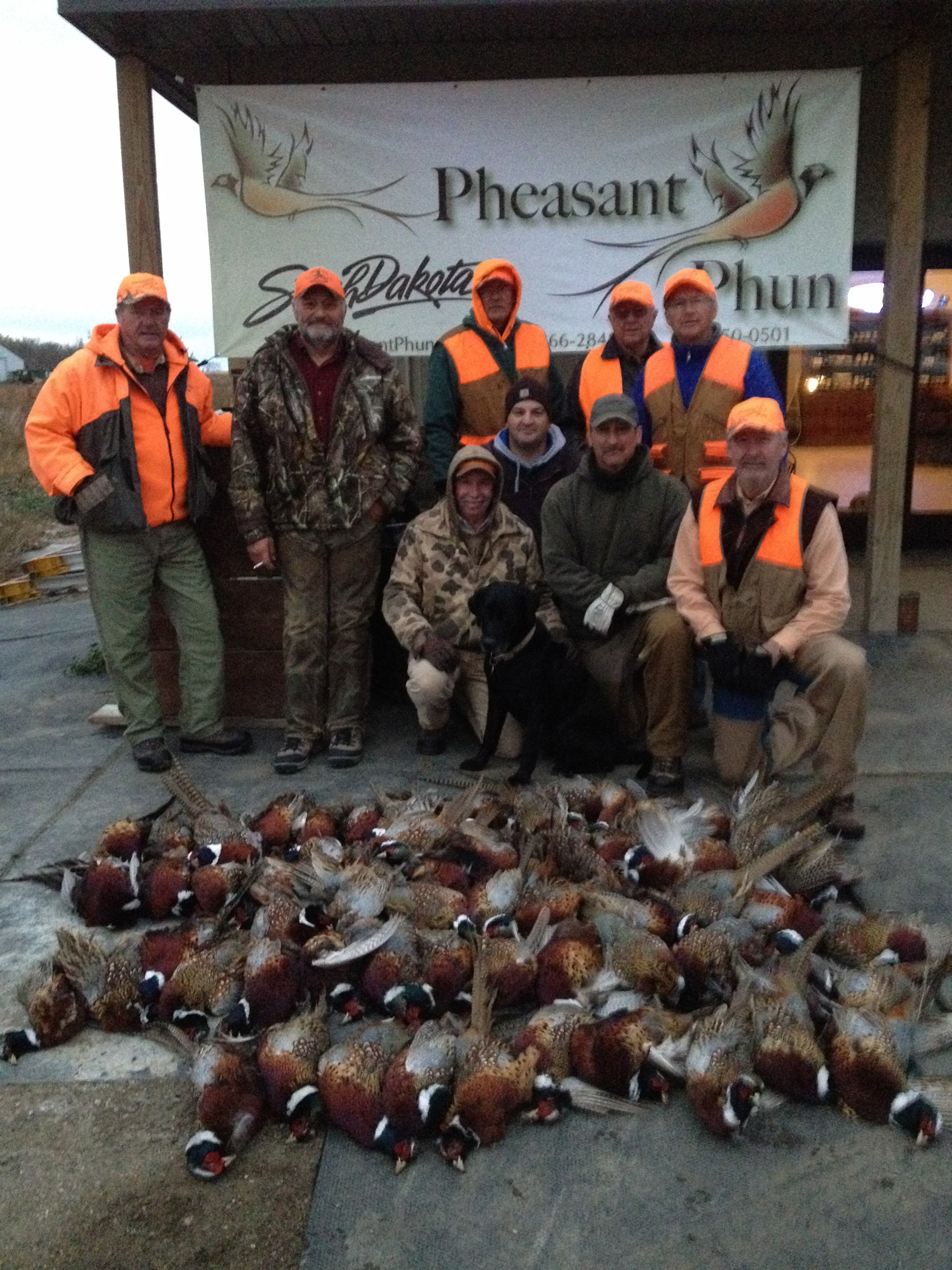 Pheasant Phun Inc.: All-Inclusive Pheasant Hunt Package 