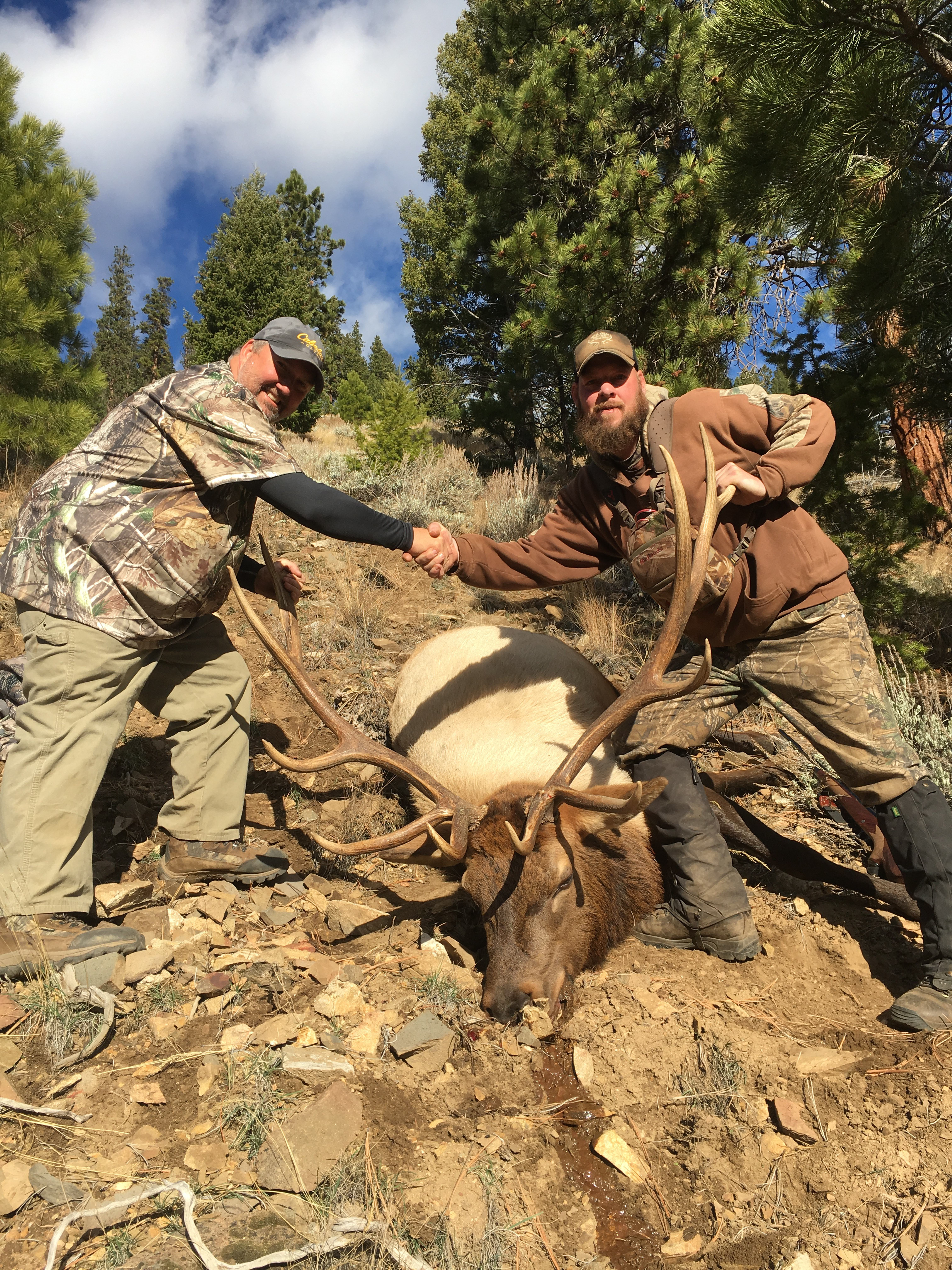 Pistol Creek Outfitters: Elk, Mule Deer, Bear, Wolf Combo Hunt
