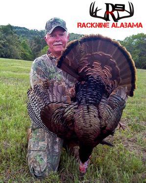 Racknine Outdoors LLC: Alabama Turkey Hunt