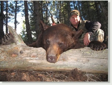 Rawhide Outfitters: Idaho Spring Bear Hunts