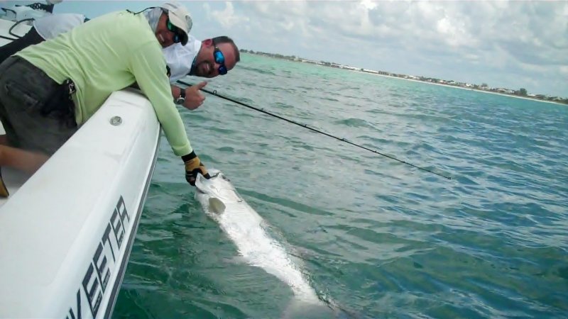 Reelfishing Charters: Boca Grande Tarpon Trip