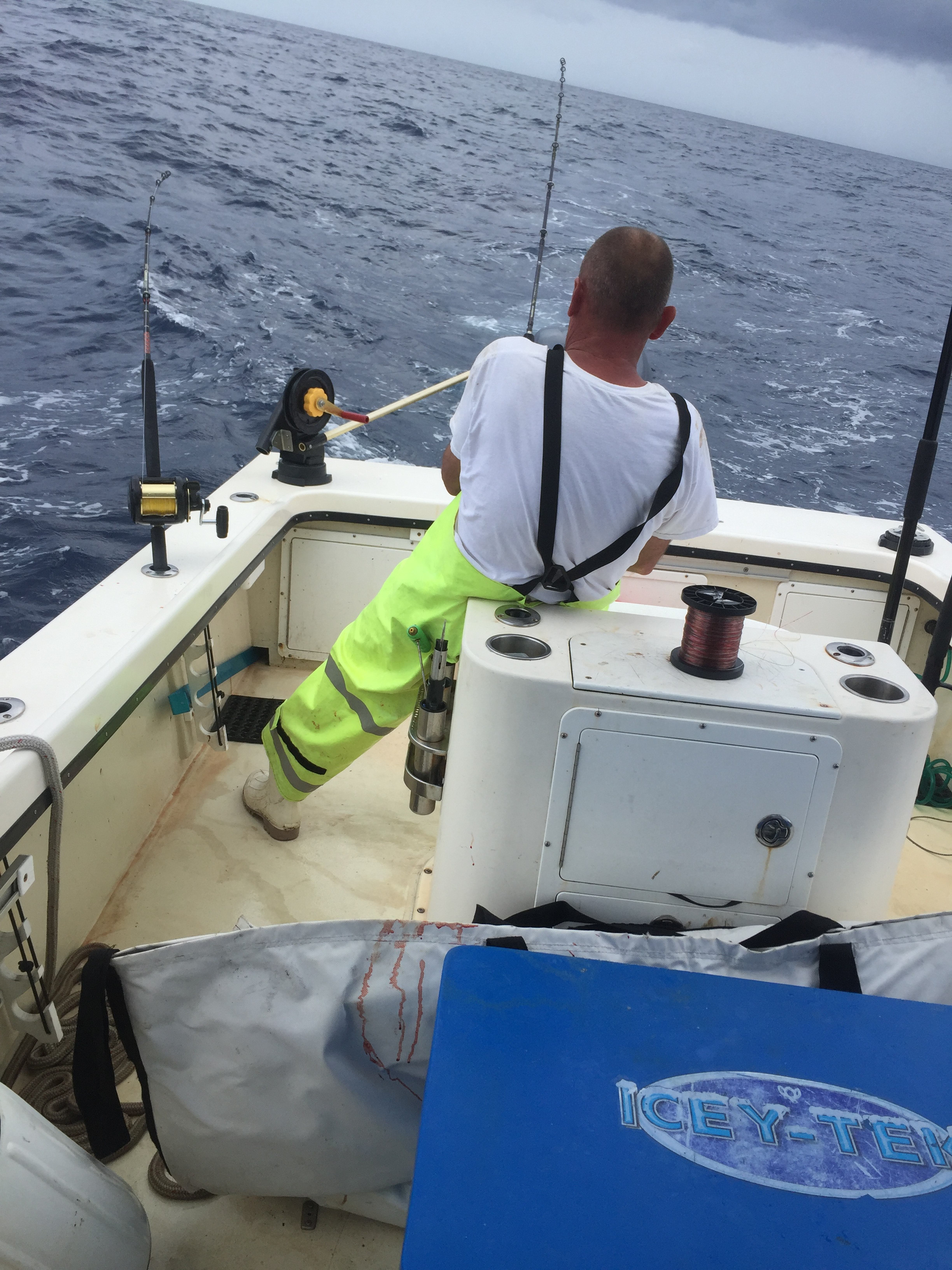 Reelin Pelican Fishing: 6 Hours Offshore 5 Passagers