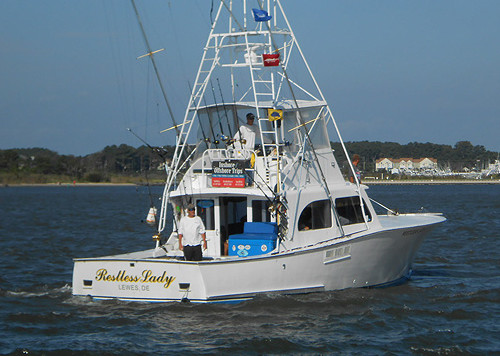 Restless Lady Charters: Coastal/Bay Fishing Trip