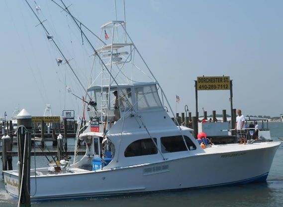 Restless Lady Charters: Inshore/Offshore