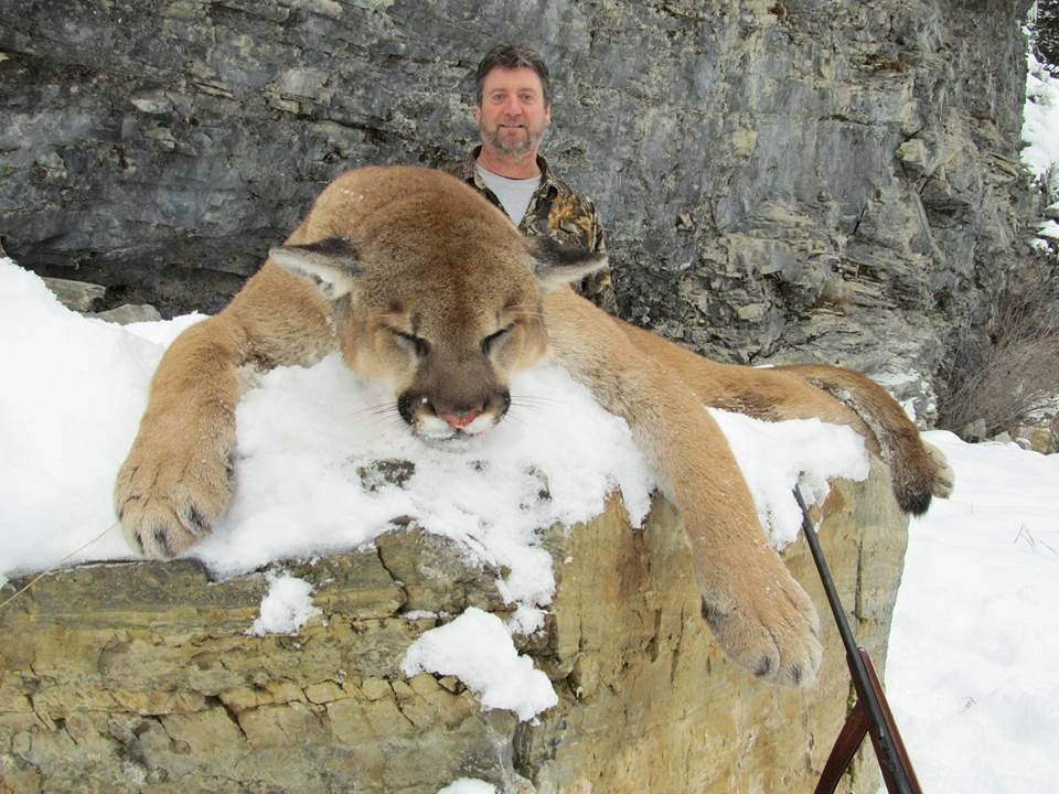 Russell Pond & B Bar C Outfitters: Mountain Lion Hunt