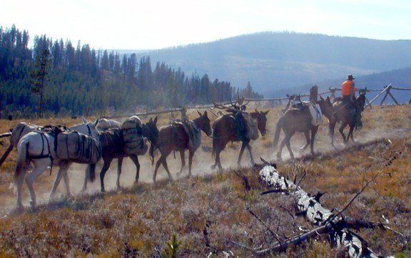 Scapegoat Wilderness Outfitters: 7 day Wilderness Elk or Mule Deer Hunt