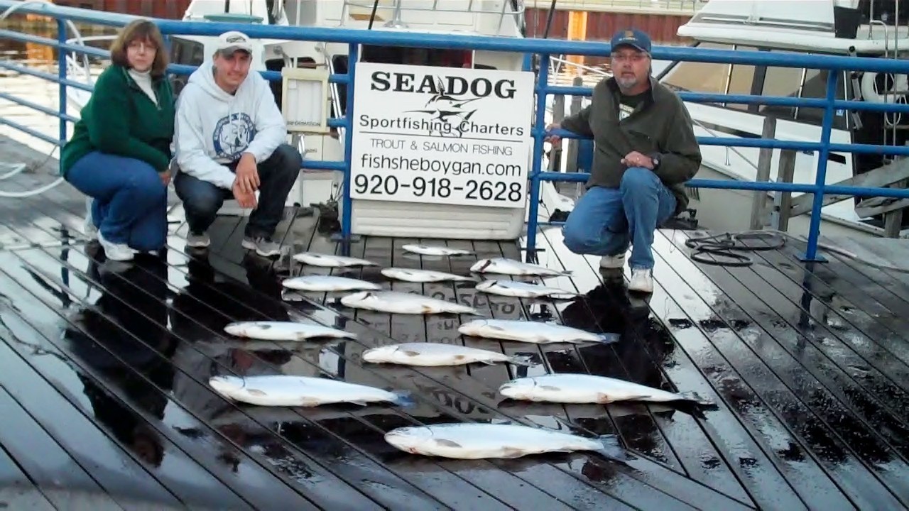 Sea Dog Sportfishing Charters Of Sheboygan: Evening Trips