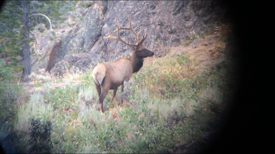 Secret Pass Outfitters: Elk Hunts