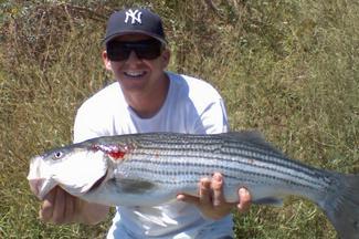 Seth Mitchells Guide Service: Striped Bass Fishing Trips