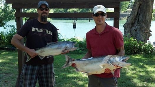 Seth Mitchells Guide Service: Trout & Steelhead Fishing Trips