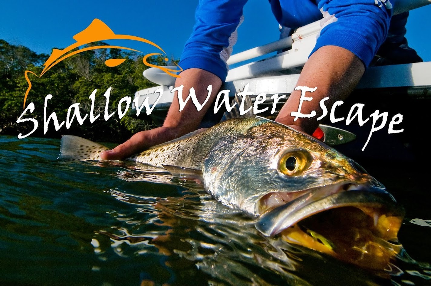 Shallow Water Escape: Half Day Inshore Fishing