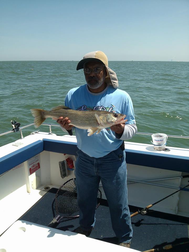 Shamrock Fishing Charters Lake Erie: Walleye Charter #1