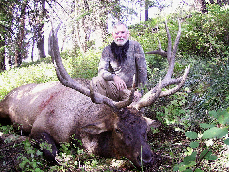Shepp Ranch Outfitters: Elk/Deer Hunts