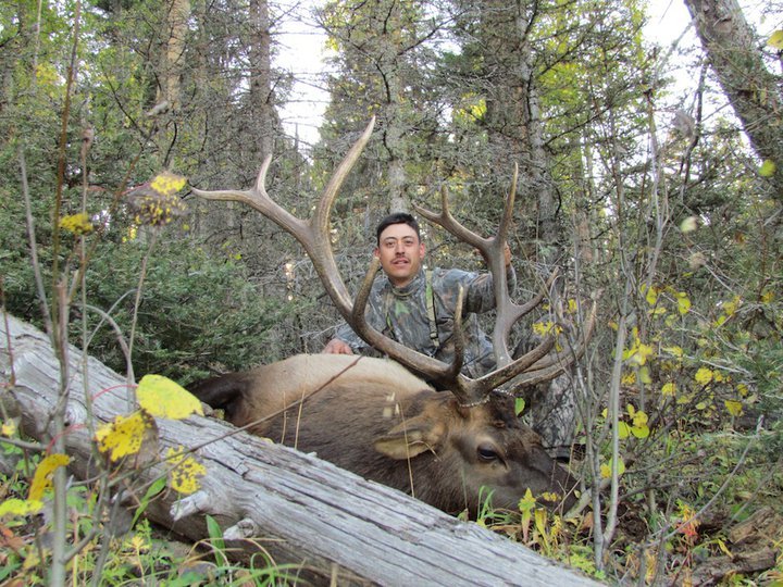 Sierra Blanca Outfitters: Elk Hunt