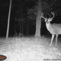 South Fork Hunting Preserve: Deer Hunting Package
