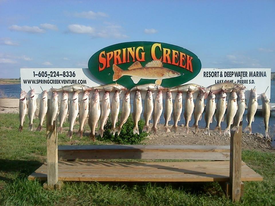 Spring Creek Resort & Deep Water Marina: Fishing & Lodging Combo