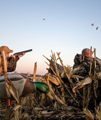 St. Louis Fin & Field Hunting & Fishing: Duck Hunting