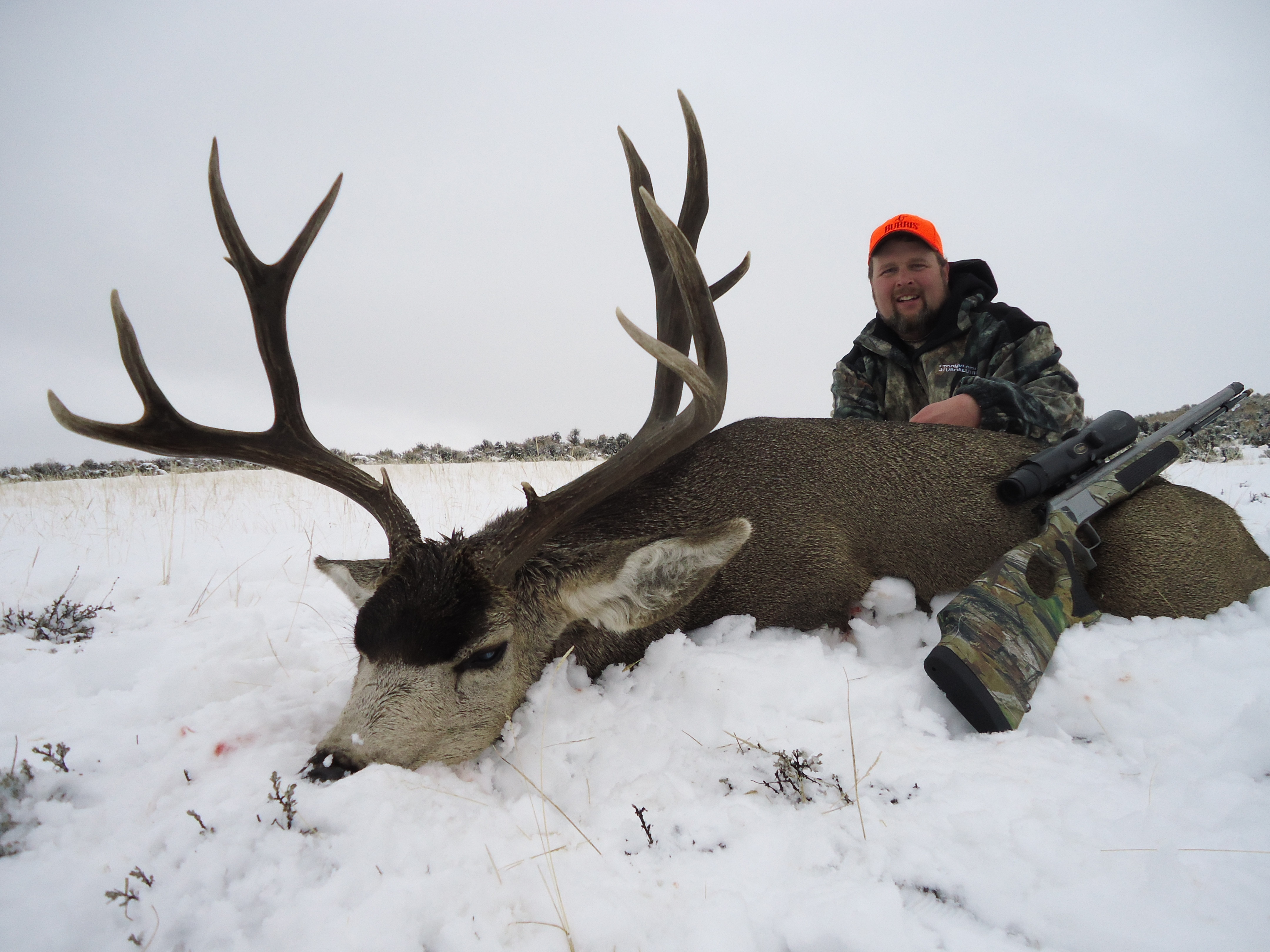 Steves Outdoor Adventures: Colorado Elk Hunt