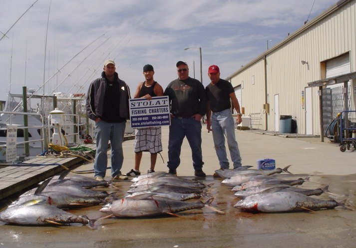 Stolat Fishing Charters: Inshore Fishing Trip