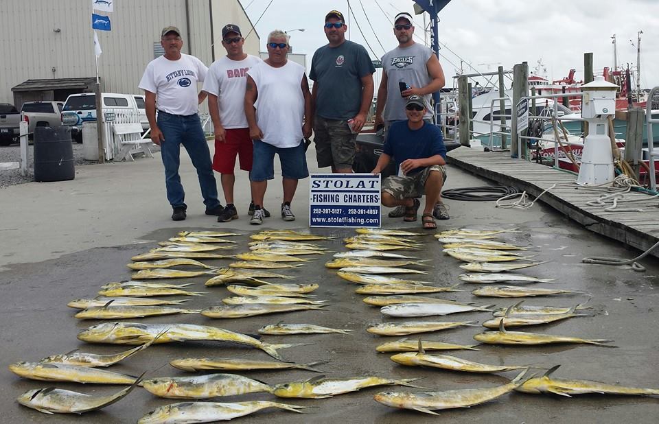 Stolat Fishing Charters: MEGA MIXED BAG (combo) Trip