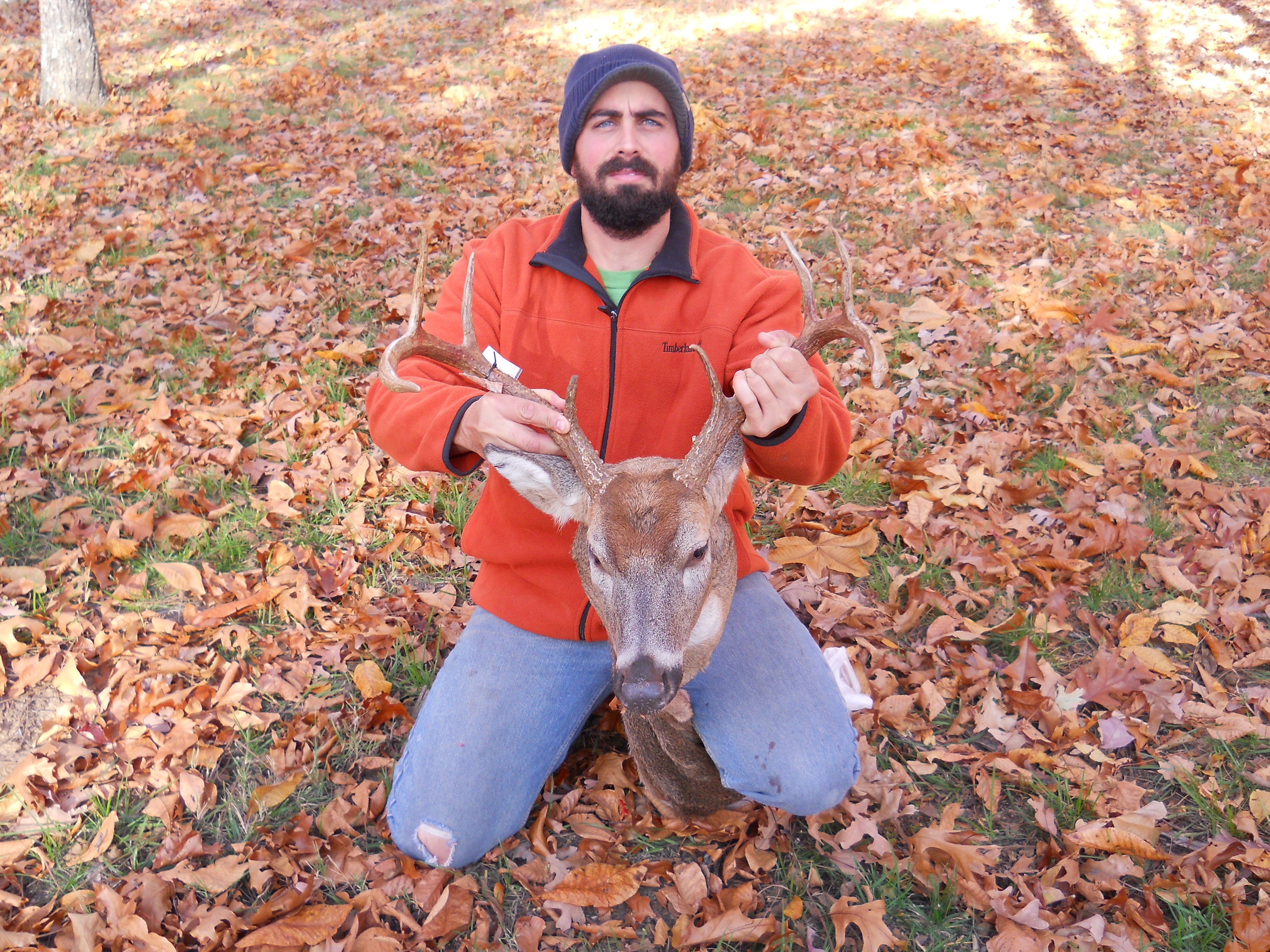 Str Outfitters: Deer Hunt