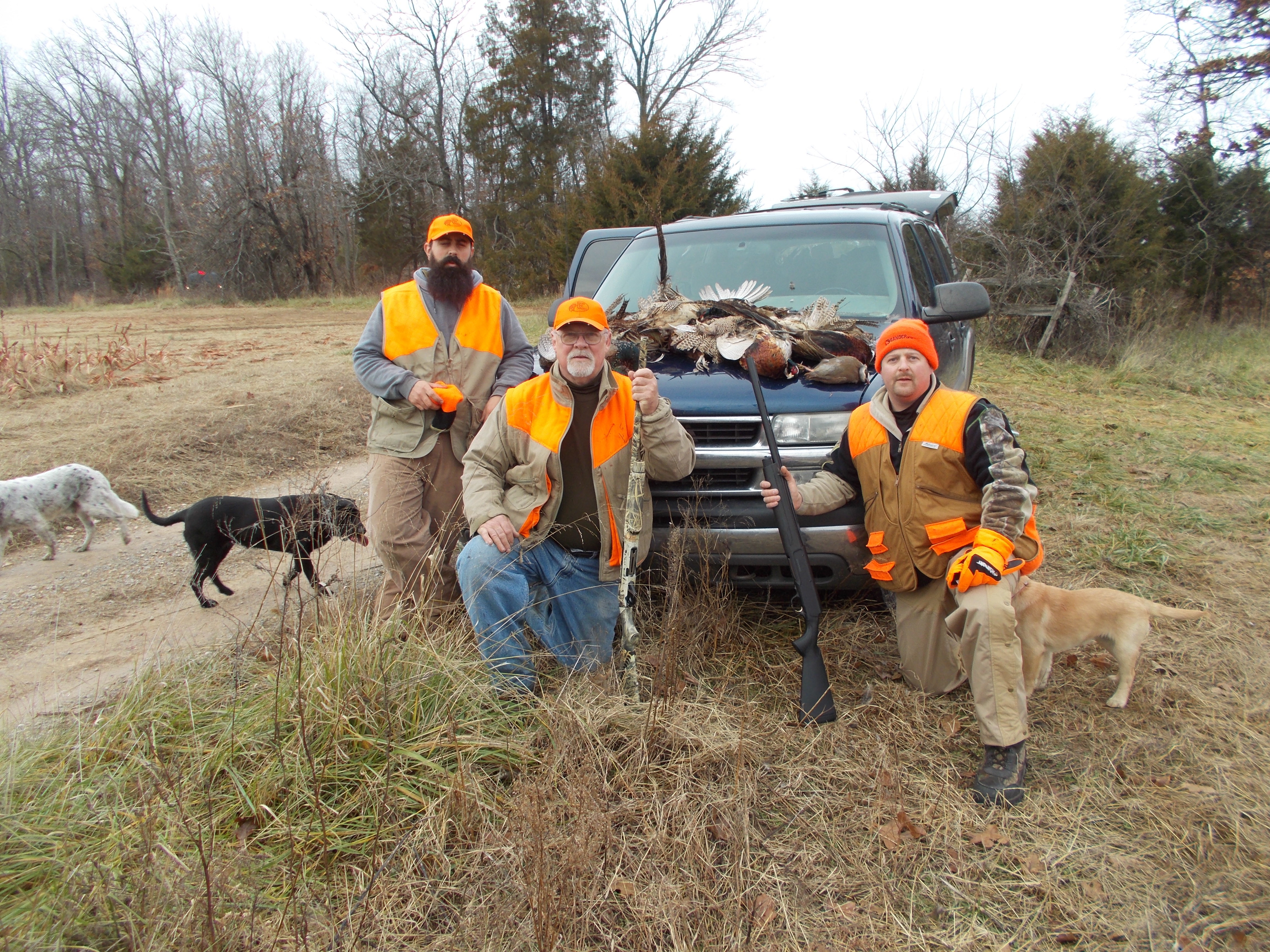 Str Outfitters: Pheasant Hunt
